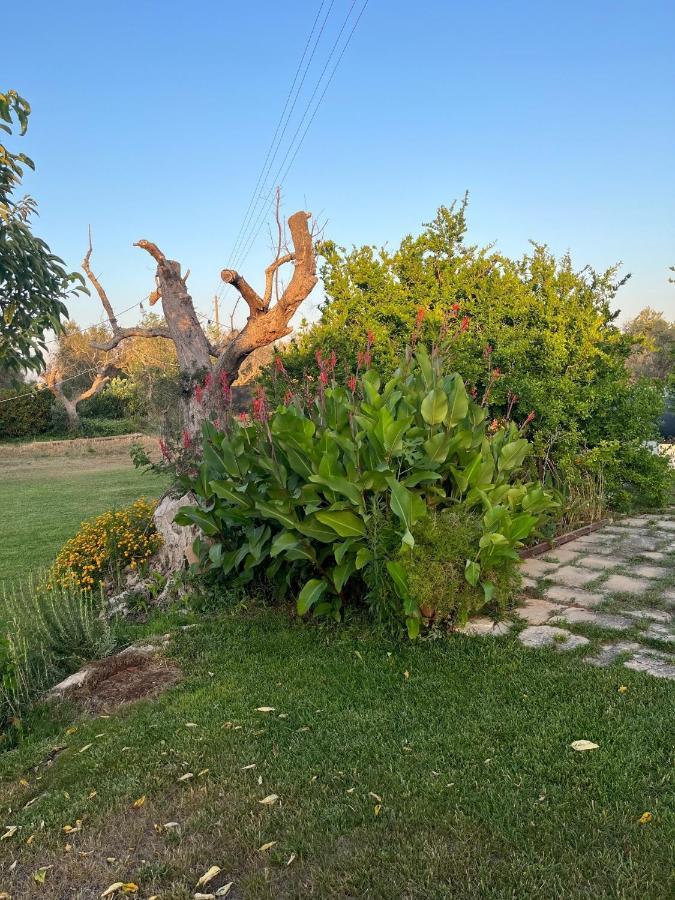 Villa Li Papi à Galatone Extérieur photo